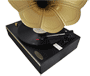 Pyle - PNGTT1B , Sound and Recording , Turntables - Phonographs , Classic Horn Phonograph/Turntable With USB-To-PC Connection And Aux-In (Black)